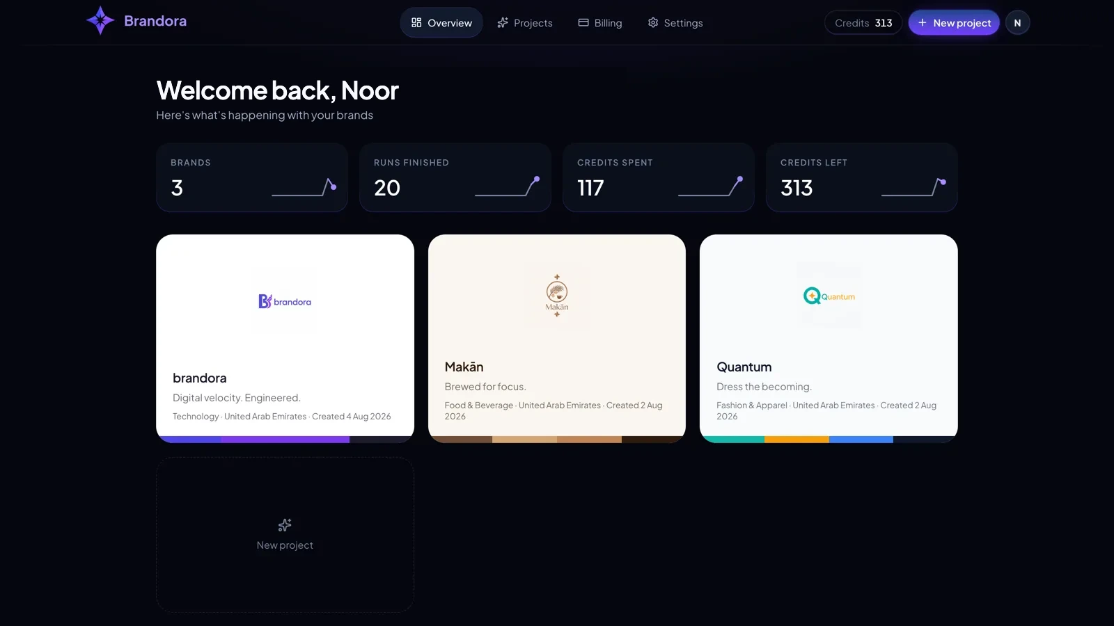 The Brandora dashboard